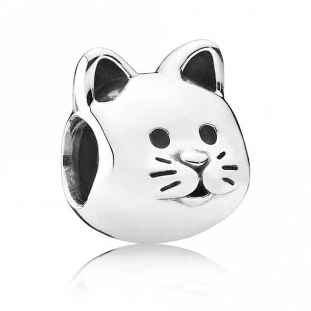 Meraklı Kedi Tılsımları Pandora Türkiye